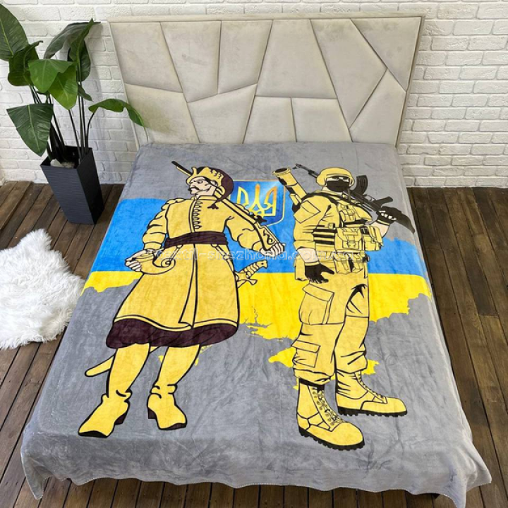 Покривало Плед Велюрове Двухстороннє з 3D малюнком Захисники України